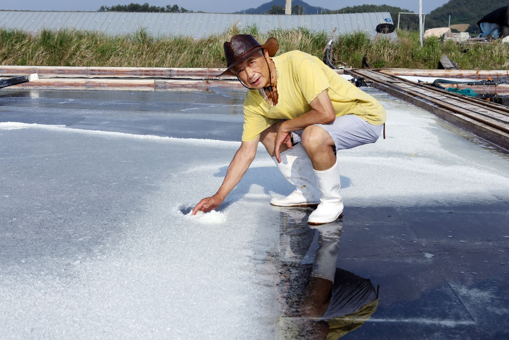 Harvesting salt by hand on the Imjado tidal flats